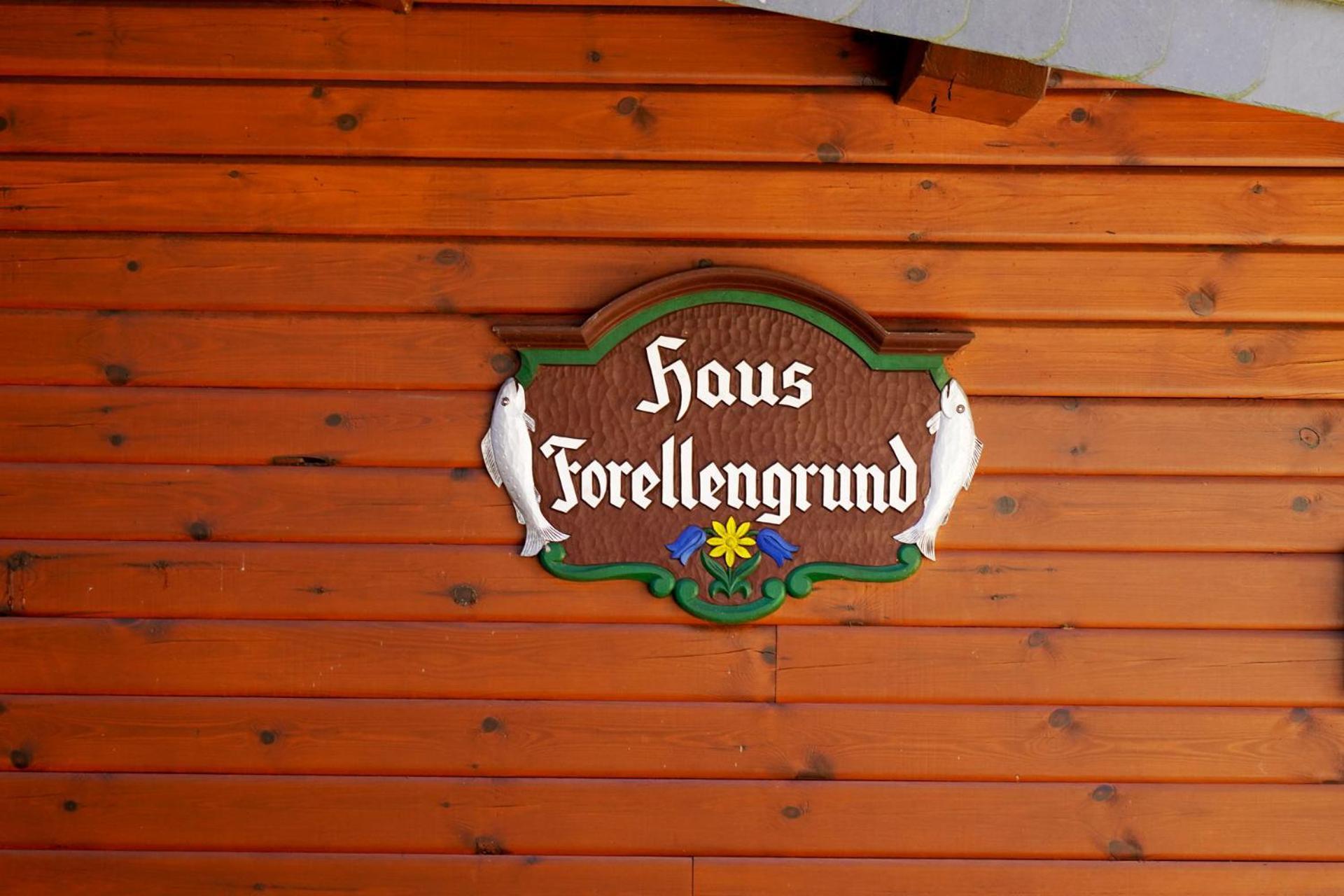 Ferienwohnungen Forellengrund Schierke Eksteriør billede